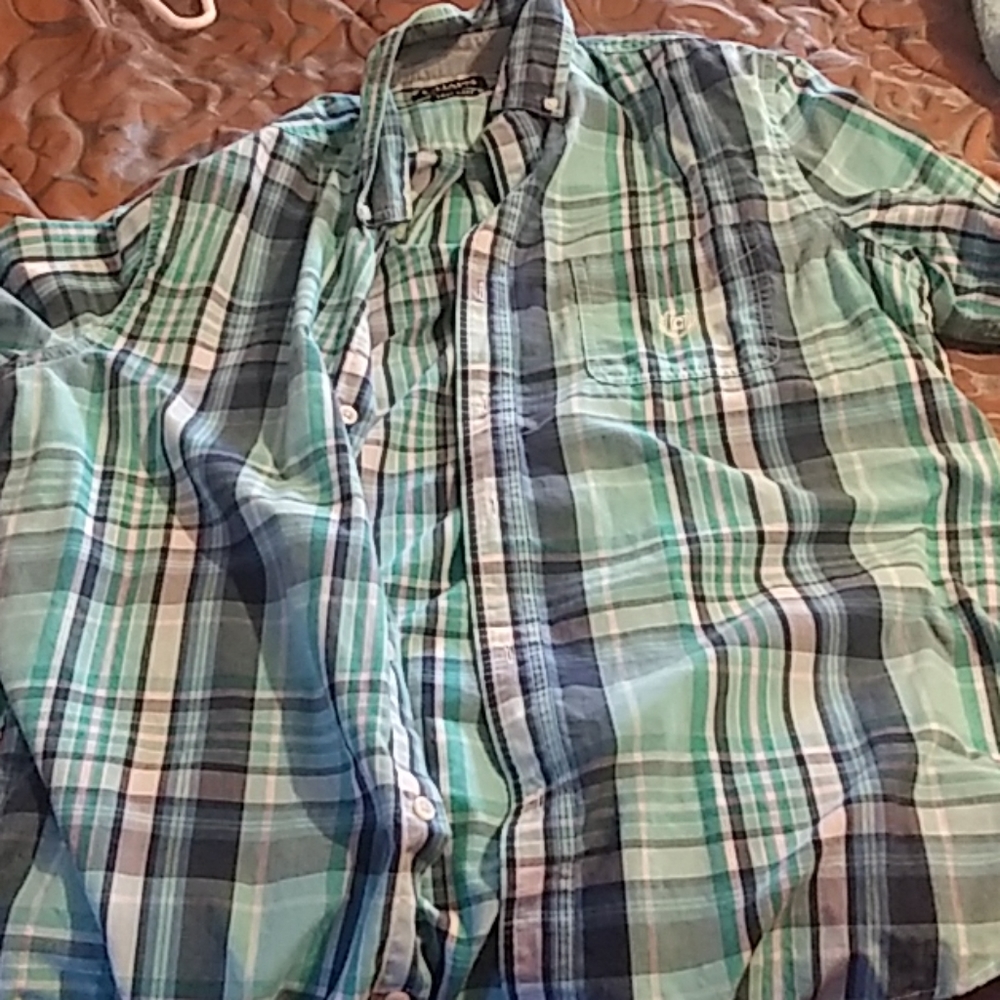 Chaps button down